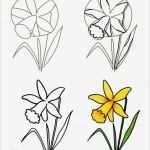 Blumen Zeichnen Vorlagen Bewundernswert Blumen Malen Lernen Dekoking Diy Bastelideen