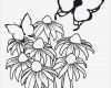 Blumen Zeichnen Vorlagen Cool Blumen Zeichnen Vorlagen – Free Vorlagen