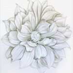 Blumen Zeichnen Vorlagen Cool Dahlia Flower Drawings Pinterest