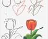 Blumen Zeichnen Vorlagen Schön Как рисовать цветы