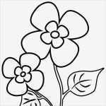 Blumen Zeichnen Vorlagen Süß Blumen Malvorlagen Kostenlose Ausmalbilder Mit Blumen