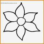 Blumen Zeichnen Vorlagen Wunderbar 7 Blumen Vorlagen