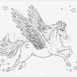 Boxenschilder Für Pferde Vorlagen Angenehm Pegasus Malseite Für Erwachsene Pferde Malseiten