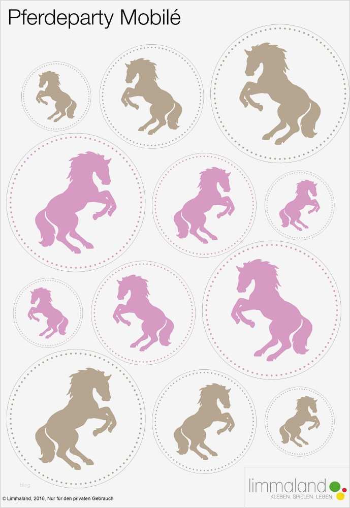 Boxenschilder Für Pferde Vorlagen Best Of Pferdegeburtstag Das Party Paket Für Den Kindergeburtstag