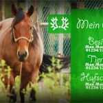 Boxenschilder Für Pferde Vorlagen Bewundernswert Boxenschild Design4