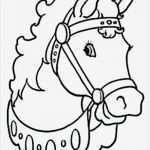 Boxenschilder Für Pferde Vorlagen Cool Ausmalbilder Pferd Kostenlos Malvorlagen Zum Ausdrucken