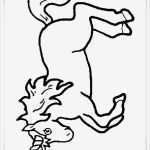 Boxenschilder Für Pferde Vorlagen Elegant Einhorn Malvorlagen Zum Ausdrucken