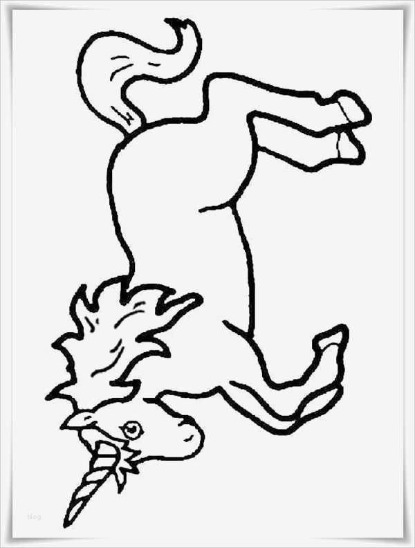 Boxenschilder Für Pferde Vorlagen Elegant Einhorn Malvorlagen Zum Ausdrucken