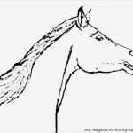 Boxenschilder Für Pferde Vorlagen Erstaunlich Pferdebilder Ausmalen Pferdeköpfe Ausmalbilder