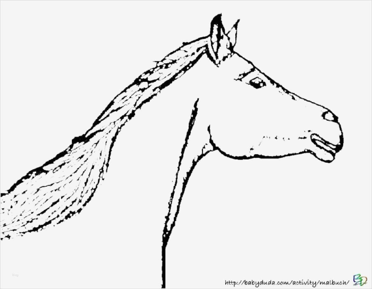 Boxenschilder Für Pferde Vorlagen Erstaunlich Pferdebilder Ausmalen Pferdeköpfe Ausmalbilder