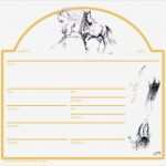 Boxenschilder Für Pferde Vorlagen Erstaunlich Stalltafel Boxenschild 2 Sprachen C Bötzel Messe