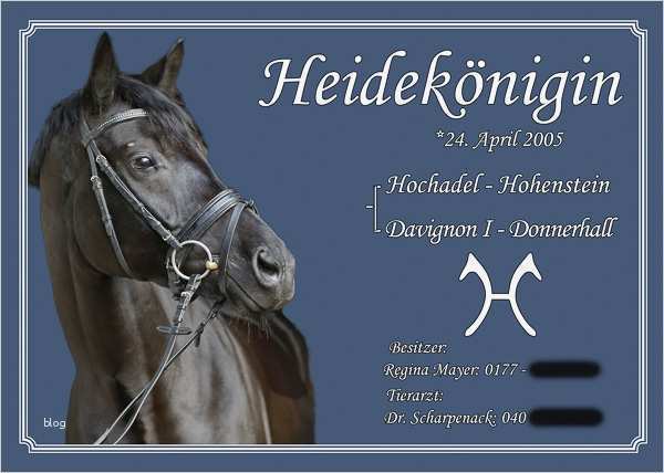 Boxenschilder Für Pferde Vorlagen Fabelhaft Boxenschilder Aus Acryl Mit 4 Bohrungen Fotografie