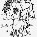 Boxenschilder Für Pferde Vorlagen Fabelhaft Pferde Zum Ausmalen Vorlagen