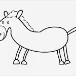 Boxenschilder Für Pferde Vorlagen Großartig Ausmalbild Pferd Malvorlage Pferd Kostenlos