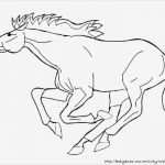 Boxenschilder Für Pferde Vorlagen Großartig Viele tolle Pferde Ausmalbilder Mit Realistischen Vorlagen