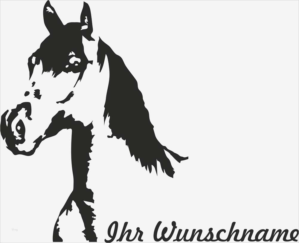 Boxenschilder Für Pferde Vorlagen Inspiration Auto Aufkleber Pferd Quarter Horse Auch Für Pferdeanhänger