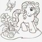 Boxenschilder Für Pferde Vorlagen Neu Die 25 Besten Ideen Zu Ausmalbilder Filly Auf Pinterest