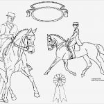 Boxenschilder Für Pferde Vorlagen Schön Pferde Vorlagen Zum Malen Az Ausmalbilder