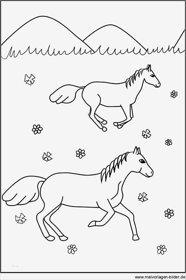 Boxenschilder Für Pferde Vorlagen Schönste Pferde Ausmalbilder Für Kinder Zum Ausdrucken