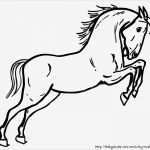 Boxenschilder Für Pferde Vorlagen Schönste Pferdebilder Ausmalen Pferdeköpfe Ausmalbilder