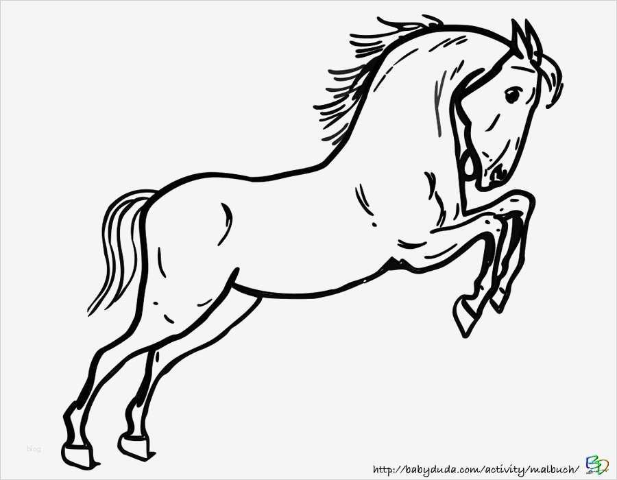 Boxenschilder Für Pferde Vorlagen Schönste Pferdebilder Ausmalen Pferdeköpfe Ausmalbilder