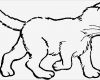 Brandmalerei Vorlagen Kostenlos Zum Ausdrucken Beste Katzen Malvorlagen Malvorlagen1001