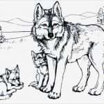 Brandmalerei Vorlagen Kostenlos Zum Ausdrucken Erstaunlich Ausmalbilder Wolf Malvorlagen Ausdrucken 1