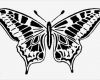 Brandmalerei Vorlagen Kostenlos Zum Ausdrucken Hübsch Schmetterling Basteln Schmetterlinge Aus Filz Papier