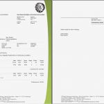 Briefbogen Vorlage Beste Meine Faktura Briefbogen Vorlage Erstellt Nach