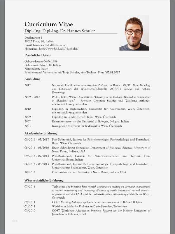 Briefkastenschild Vorlage Wunderbar 13 Lebenslauf Schüler 2016