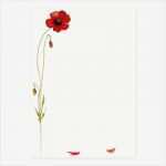 Briefpapier Drucken Vorlage Schön Briefpapier "mohnblüte" 10 31