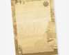 Briefpapier Vorlagen Kostenlos Cool Briefpapier Piraten & Seefahrer 50 Blatt Din A4