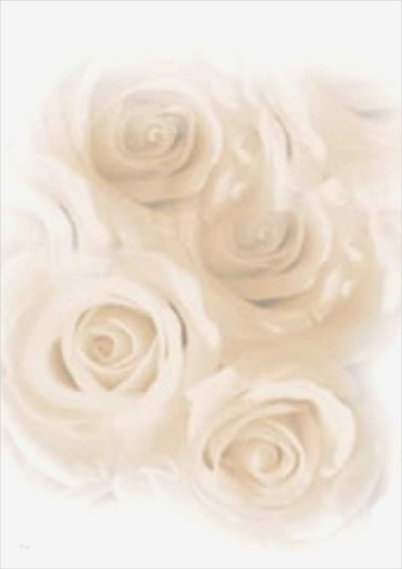 Briefpapier Vorlagen Kostenlos Gut Kostenloses Briefpapier "valentinstag" Vorlagen Zum