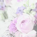 Briefpapier Vorlagen Kostenlos Inspiration Ziemlich Rose Vorlagen Kostenlos Ideen Beispiel