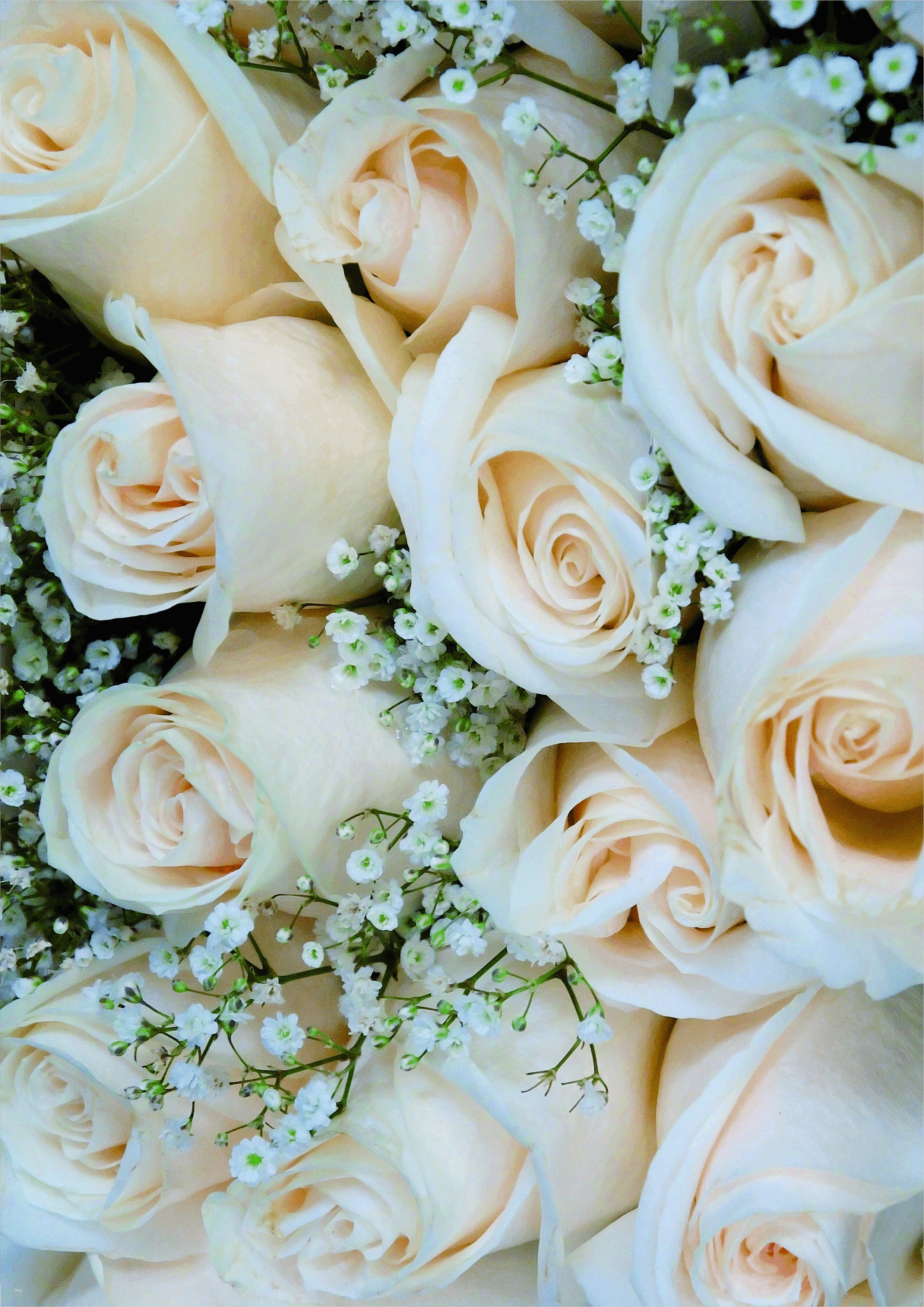 Briefpapier Vorlagen Kostenlos Schön Kostenloses Briefpapier "hochzeit" Vorlagen Zum Selbst