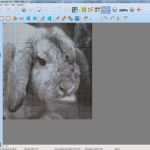 Bügelperlen Einhorn Vorlage Süß Bügelperlen Vorlagen Aus Euren Fotos [diy]