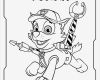 Bügelperlen Vorlage Paw Patrol Angenehm Распечатать раскраски Щенячий Патруль