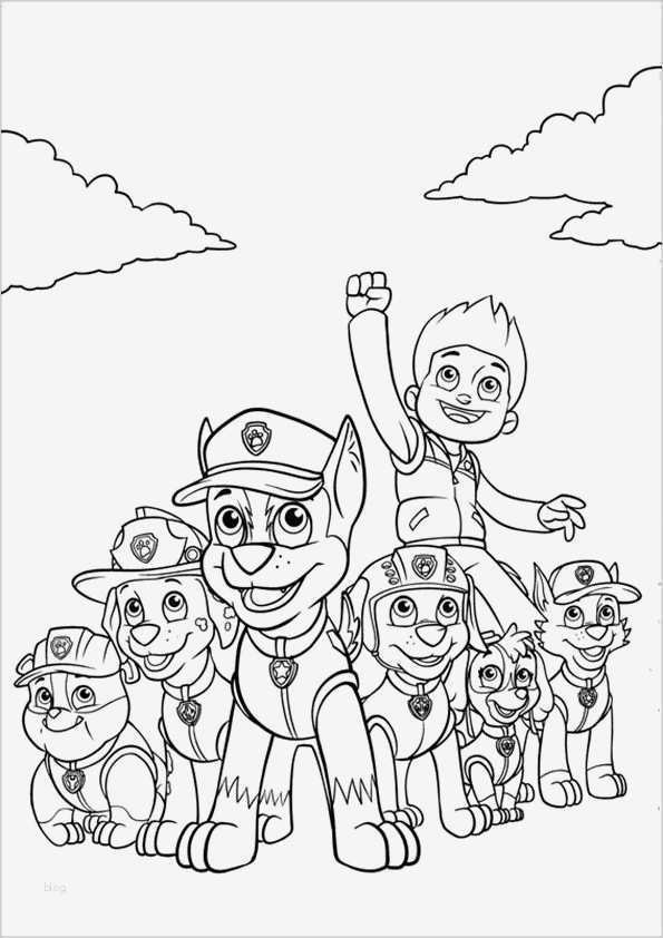 Bügelperlen Vorlage Paw Patrol Fabelhaft 21 Besten Paw Patrol Ausmalbilder Bilder Auf Pinterest