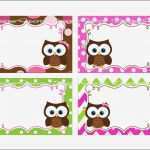 Bügelperlen Vorlagen Eule Cool Eule Sticken Vorlage Kostenlos