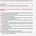 Bürgschaft Kredit Vorlage Großartig Kreditsicherheiten Im Überblick Pdf