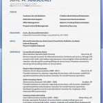 Business Lebenslauf Vorlage Fabelhaft Schön Beste Business Lebenslauf Vorlage Zeitgenössisch