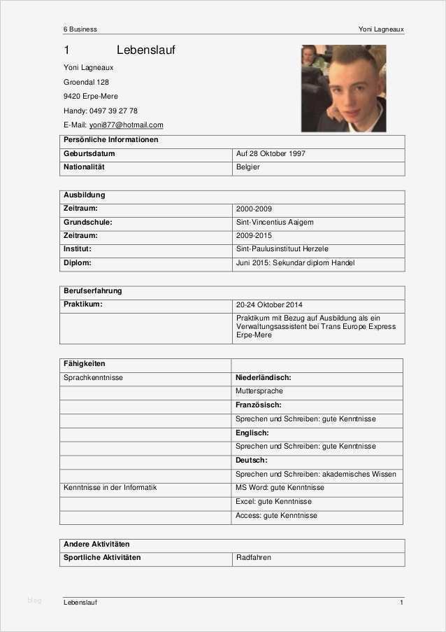 Business Lebenslauf Vorlage Inspiration Lebenslauf