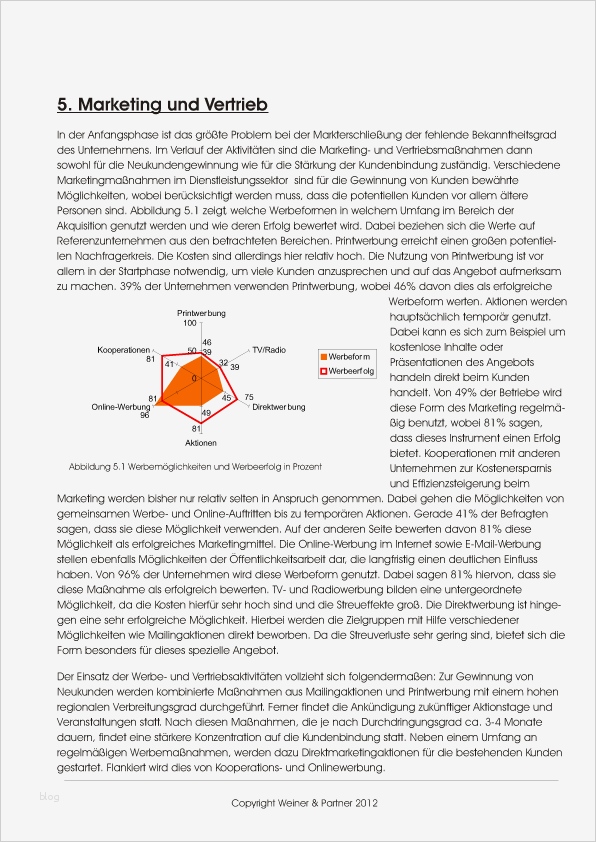 Businessplan Bestehendes Unternehmen Vorlage Hübsch Businessplan E Merce Unternehmen Muster Vorlage Zum