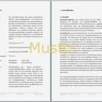 Businessplan Gründungszuschuss Vorlage Inspiration Fantastisch Business Plan Vorlage Schreiben Ideen Ideen