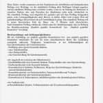 Businessplan Kosmetikstudio Vorlage Bewundernswert Großartig Kosmetikerin Lebenslauf Beispiele Zeitgenössisch