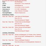 Businessplan Kosmetikstudio Vorlage Erstaunlich Businessplan Kosmetikstudio Vorlage Zum Download