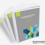 Businessplan Vorlage Download Kostenlos Inspiration Ungewöhnlich Business Plan Vorlage Wort Ideen Vorlagen