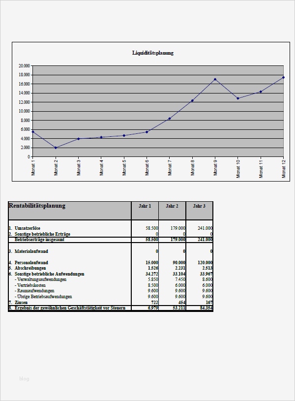 Businessplan Vorlage Download Wunderbar Businessplan softwarehaus Programmierer Vorlage Zum Download