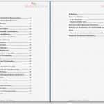 Businessplan Vorlage Pdf Gut Business Plan Für It Berater Edv Berater