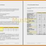 Businessplan Vorlage Pdf Wunderbar 14 Fertiger Businessplan